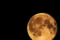 金年会首页-跑步机上快走30分钟能减肥吗