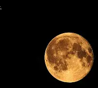 跑步机上快走30分钟能减肥吗